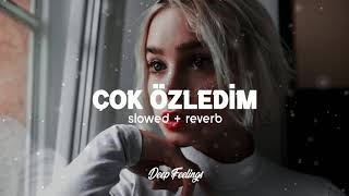 Sıla Şahin  Çok Özledim Slowed amp Reverb [upl. by Gusta381]