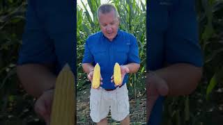 Gunther Kreps amp Importance of Mitigating Stress  RendLakeCollegeYouTube Trials wsyngenta [upl. by Eenhat579]