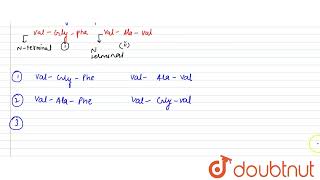 A hexapeptide has the composition AlaGlyPheVal Both the N terminal and C teminal units are [upl. by Azaria]