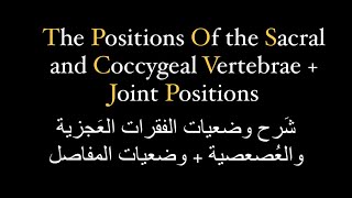 شَرح وضعيات التصوير للفقرات العجزية والعُصعصية 🩻 Sacral and Coccygeal vertebrae [upl. by Raasch]