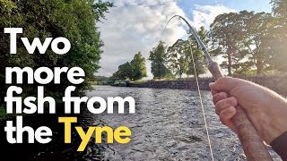 Seatrout and Salmon Fishing on the River Tyne [upl. by Nylahsoj]