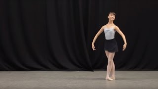 Insight Ballet Glossary  Petit allegro [upl. by Noseimaj]