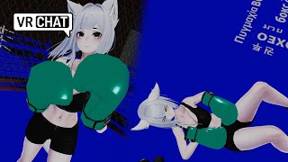 Fox takes a painful loss VRchat POV BOXING [upl. by Oberstone]