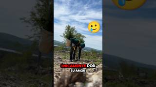 Rompió el Récord Mundial al Plantar 23000 Árboles en un Día 🤯❤️ antomos  YTIGTT [upl. by Antonius]