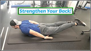 Beginner Low Back Exercises  Erector Spinae Strength [upl. by Vashti792]