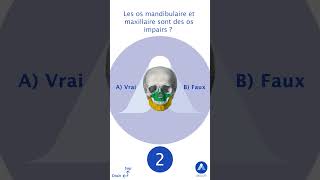 Quiz sur anatomie du crâne humain  partie 1 [upl. by Aziram]