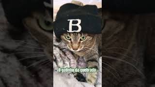 Uma touquinha pra esquentar a orelhinha music song hiphop remix gatinhofofinho usher gatinho [upl. by Edwine44]