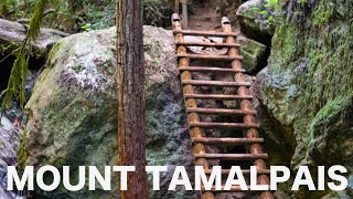 Mount Tamalpais State Park  Dipsea to Steep Ravine Trail Loop  Hiking [upl. by Aliehc522]