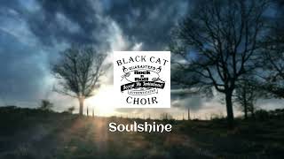 Soulshine Warren Haynes cover Black Cat Choir [upl. by Idram]