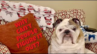 Reuben the Bulldog Outsmarted [upl. by Trawets]