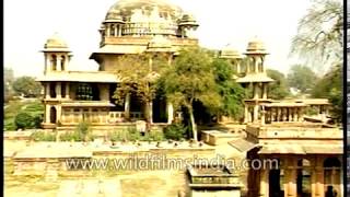 Gujari Mahal and Jai Vilas Palace Museum in Gwalior [upl. by Llien750]