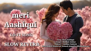 meri Aashiqui lofi song  romantic slow reverb song  feel the song use headphones 2024 [upl. by Dowling]