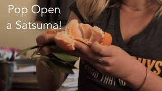 How to Peel a Satsuma in 10 Seconds  The FruitGuys [upl. by Euqinitram629]