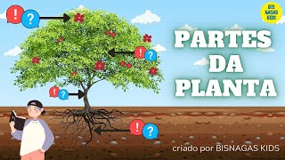 PARTES DAS PLANTAS E SUAS FUNÇÕES  DIA DA ÁRVORE EDUCAÇÃO INFANTIL VÍDEO AULA [upl. by Guildroy596]