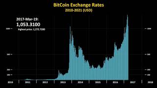 Bitcoin Price History 20102021 in 2 minutes [upl. by Slack]