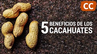 5 Beneficios de los Cacahuates  Ciencia de la Comida [upl. by Eillit552]