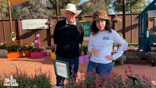 California Spring Trials 2024 New Summerlong Agastache Series from Darwin Perennials [upl. by Schilling555]