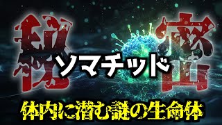 【衝撃】体内に隠れた謎の生命体ソマチッド…免疫力UPの秘密とは【都市伝説】 [upl. by Hsakiv]