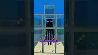 Cómo torturar a un enderman en Minecraft 🤫 [upl. by Schuler]