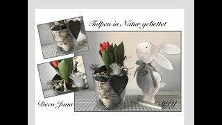 DIY frühlingshafte Tischdeko Tulpen in Natur gebettet  Deko Jana [upl. by Onida]