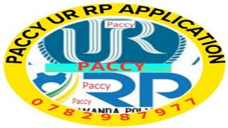 PACCY UR RP APPLICATION Live Stream [upl. by Akerahs979]