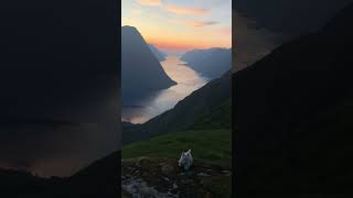 Sunset in the Sunnmøre Alps💙 norway mountains nature hiking westie travel dog [upl. by Aihcila940]