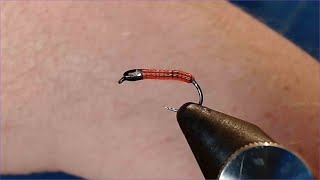 The Bloodworm buzzer fly [upl. by Chickie]