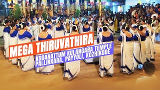 Mega Thiruvathira Kodanatum Kulangara Temple  Pallikkara  Kozhikode  Paradevatha Kshethram [upl. by Dorothi44]