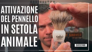 Come Attivare un Pennello da Barba in setola animale  Tutorial Rasatura Tradizionale [upl. by Ellimahs]