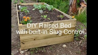 DIY Raised bed garden with builtin slug control [upl. by Quintessa712]