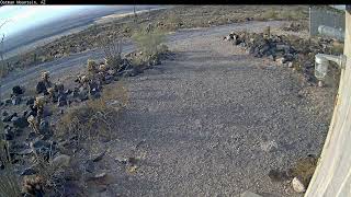 Timelapse Video of Oatman Mountain 20241129 [upl. by Frye790]