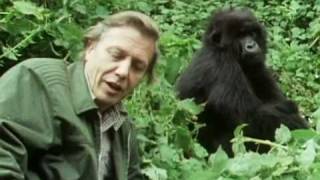 Sir David Attenborough  The story behind Life on Earth  BBC [upl. by Ynagoham768]