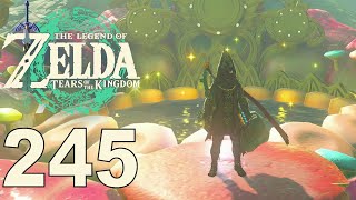 The Legend of Zelda Tears of the Kingdom 245  Das Set der Finsternis [upl. by Azne]