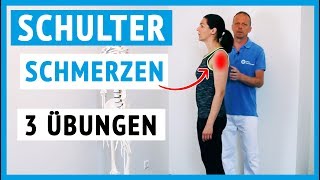 Schulterschmerzen  3 Übungen für zuhause einfach [upl. by Gerianna]