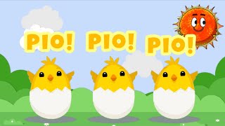 Los pollitos dicen pío pío pío  nursery rhymes  the little chicks are squeaking  kindergarten [upl. by Frannie]