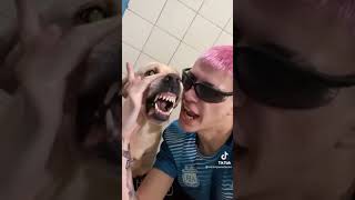 Rapper vs Angry Dog Epic Battle  TikTok Viral Video [upl. by Toulon]