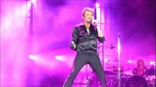 JOHNNY HALLYDAY Que je taime LYON 22 Juin 2012 Niko [upl. by Nemajneb]