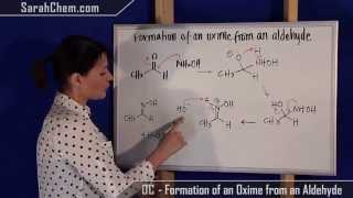 Formation of an Oxime from an Aldehyde [upl. by Diana]