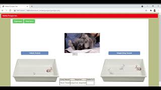 Part II of Test for pyrogens by Rabbit method By ExPharm software [upl. by Delainey199]