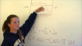 Coulometric Titration Lab Video [upl. by Leynwad]