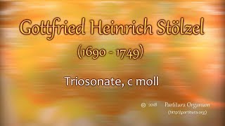 Gottfried Heinrich Stölzel Triosonate c moll [upl. by Aicnatsnoc]