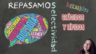 Repasando Selectividad PAU Biología  Glúcidos y lípidos  BioESOsfera [upl. by Enom]