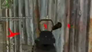 Call Of Duty 4 and 2 UNDETECTABLE Wallhack [upl. by Anaej302]