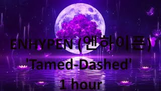 ENHYPEN 엔하이픈 Tamed Dashed 1 hour [upl. by Mcadams]