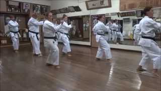 Okinawa Kyudokan Karate Passai Sho Hombu Dojo POLSKA [upl. by Chader]