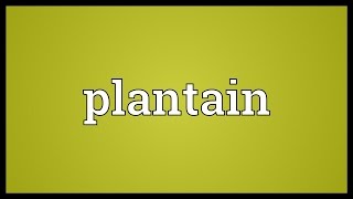 Plantain Meaning [upl. by Trula]