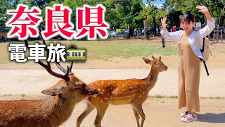 【電車旅】奈良駅で下車して、奈良公園や東大寺を楽しむ！【旅行・観光・グルメ・ホテル】 [upl. by Irbua]