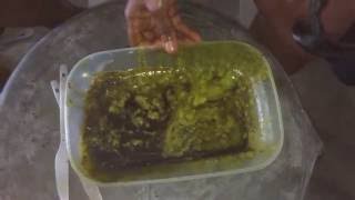 How to Make Virgin Avocado Oil at Home [upl. by Germano]