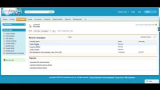 Salesforce Campaign Members and ROI Reporting [upl. by Ardnaet]