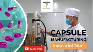 Capsules Manufacturing Process  Soft Gelatin Capsules [upl. by Findley]